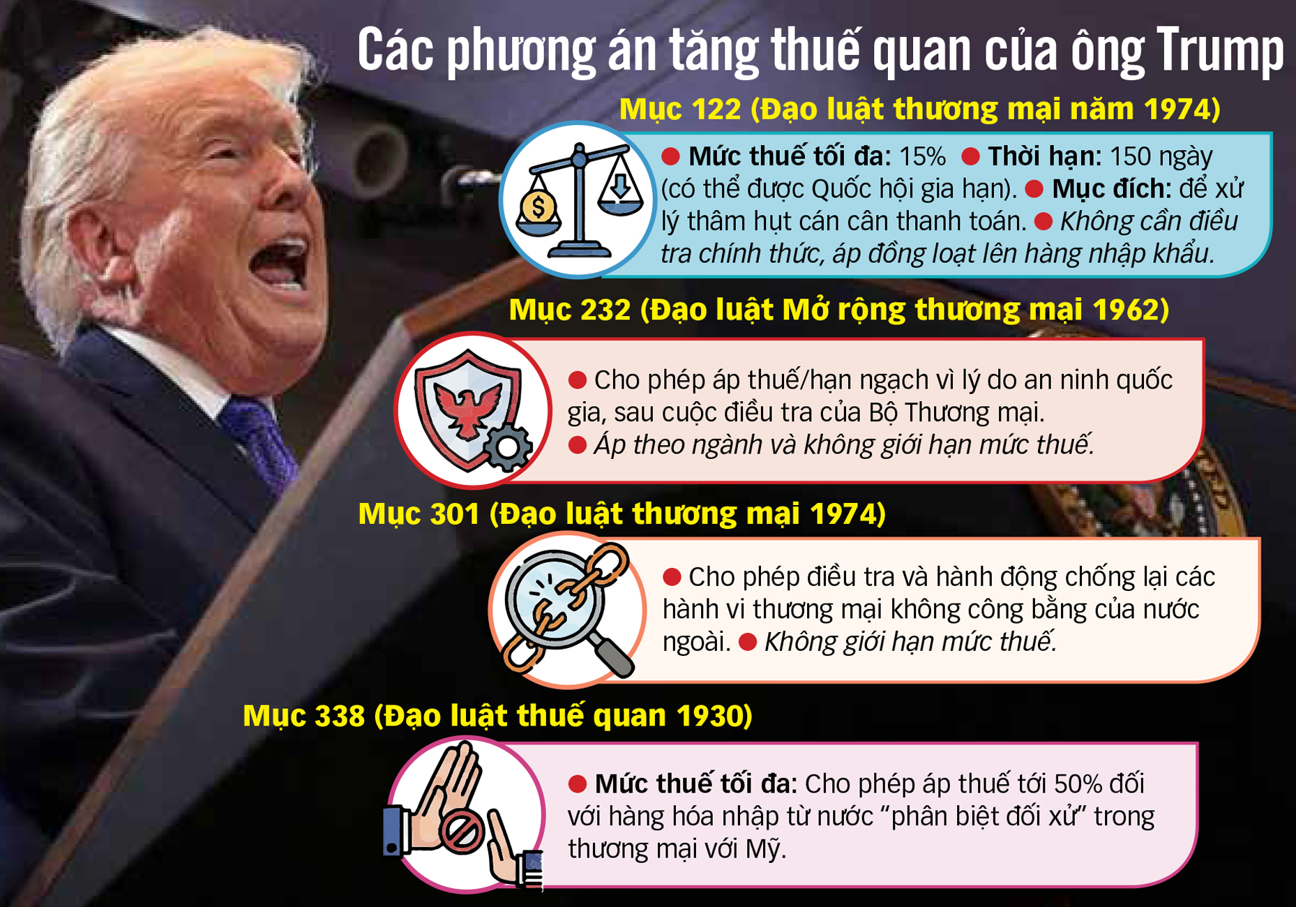 thuế quan - Ảnh 1.