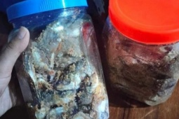 Nghi ngộ độc sau khi ăn cá ủ chua ngày cận Tết