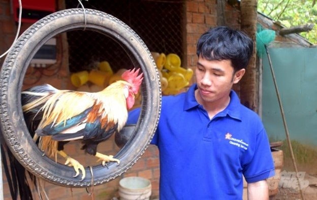 Bỏ phố về quê nuôi loài chim quý hiếm, anh kỹ sư thu lãi 1 tỷ đồng/năm- Ảnh 1.