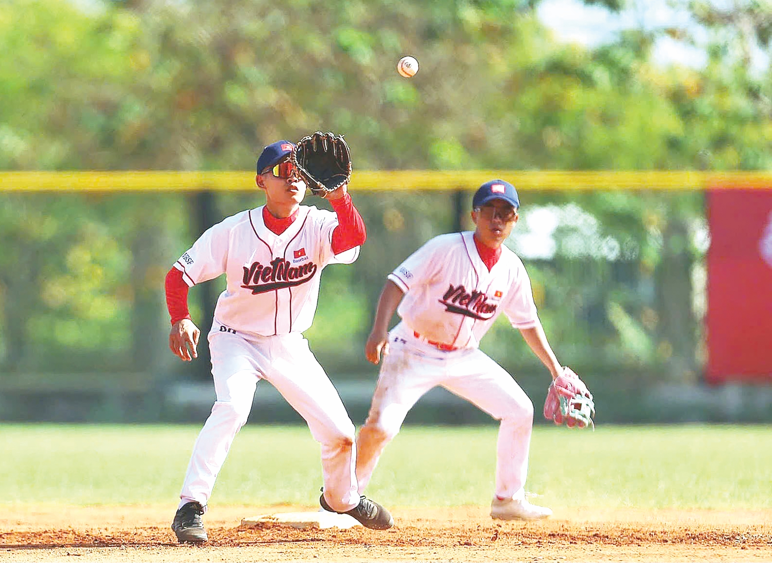 bóng chày - Ảnh 1.