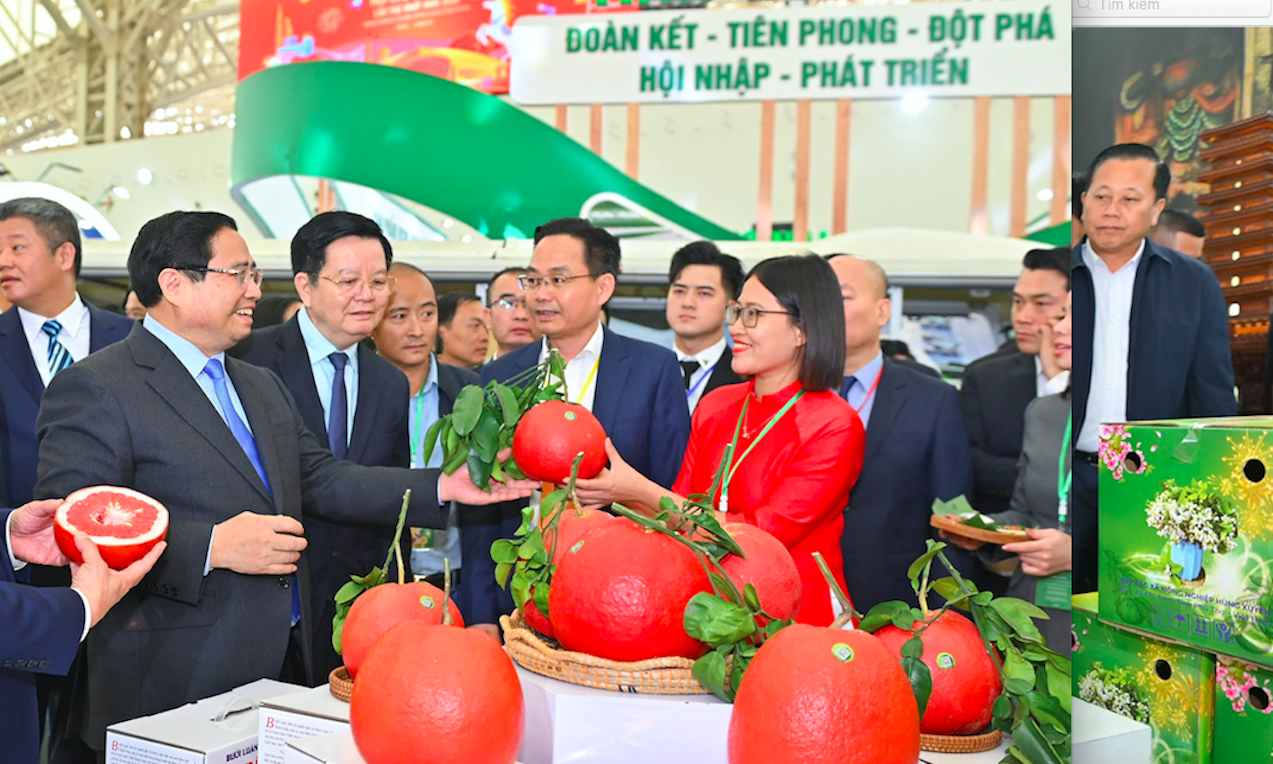 Bước chạy đà cho thị trường Tết 1 Bước chạy đà cho thị trường Tết - Ảnh 1.