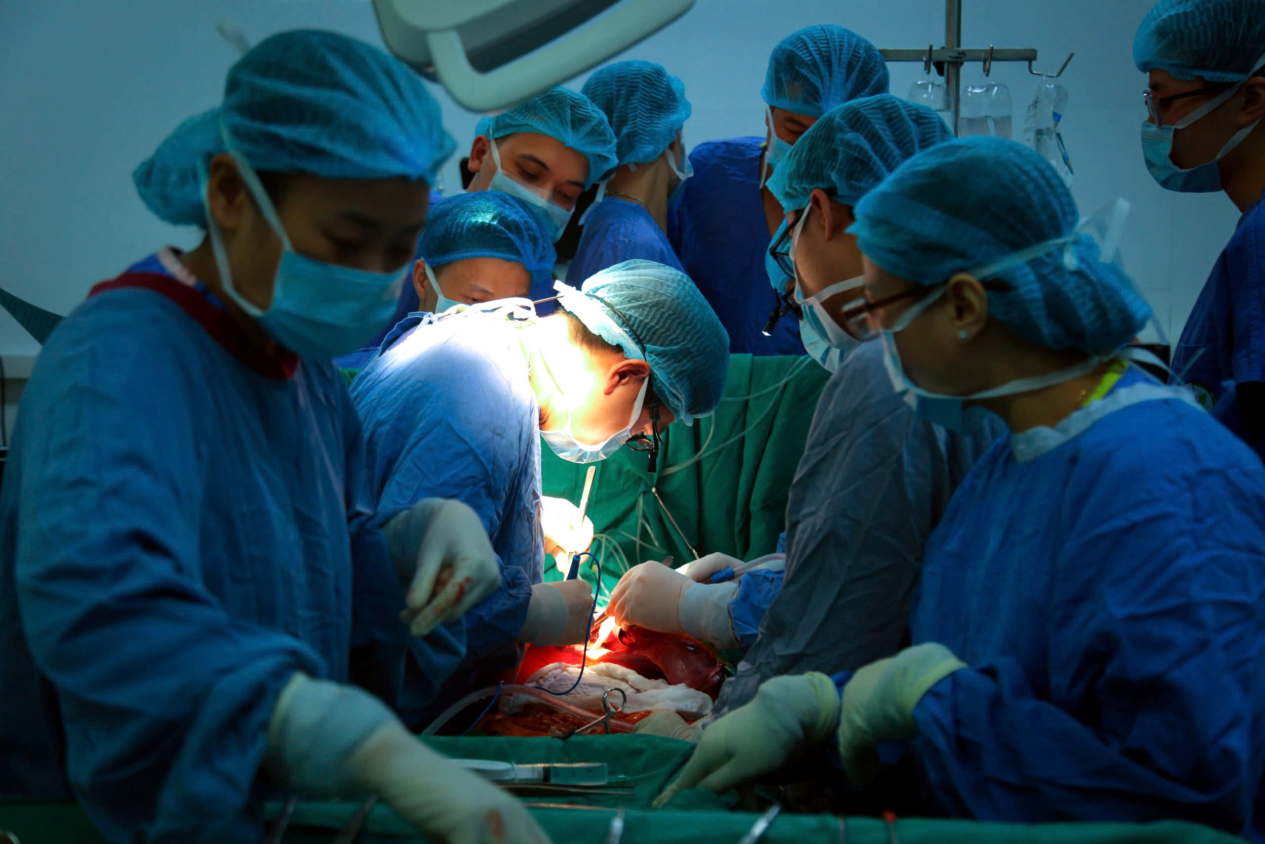 ghép tạng - Ảnh 1.