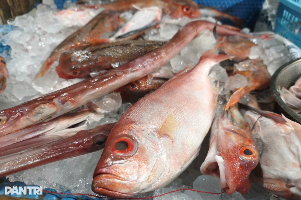 Cả gia đình ở TPHCM đi cấp cứu, nghi ngộ độc sau bữa cơm với cá mú đỏ - 2