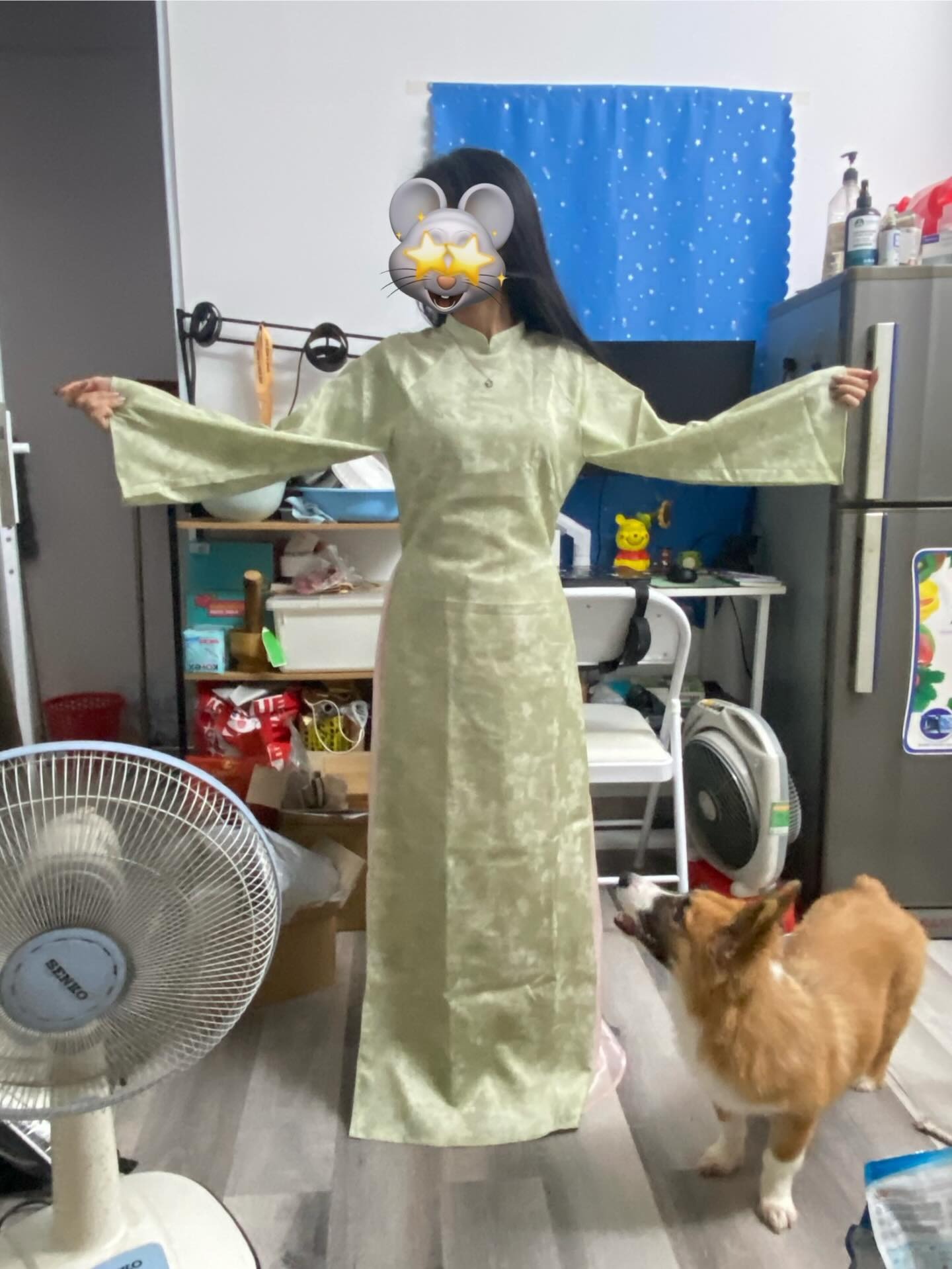 1001 drama áo dài Tết: Cả triệu bạc mà xấu điên xấu khùng, nàng thơ tức ứa gan- Ảnh 1.