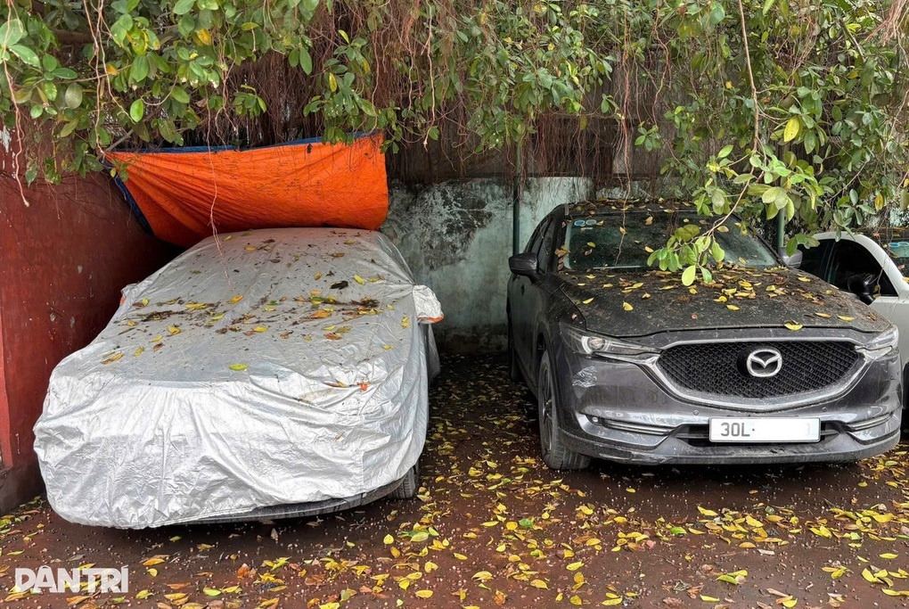 Các tác nhân gây hại và cách bảo vệ sơn ô tô - 1