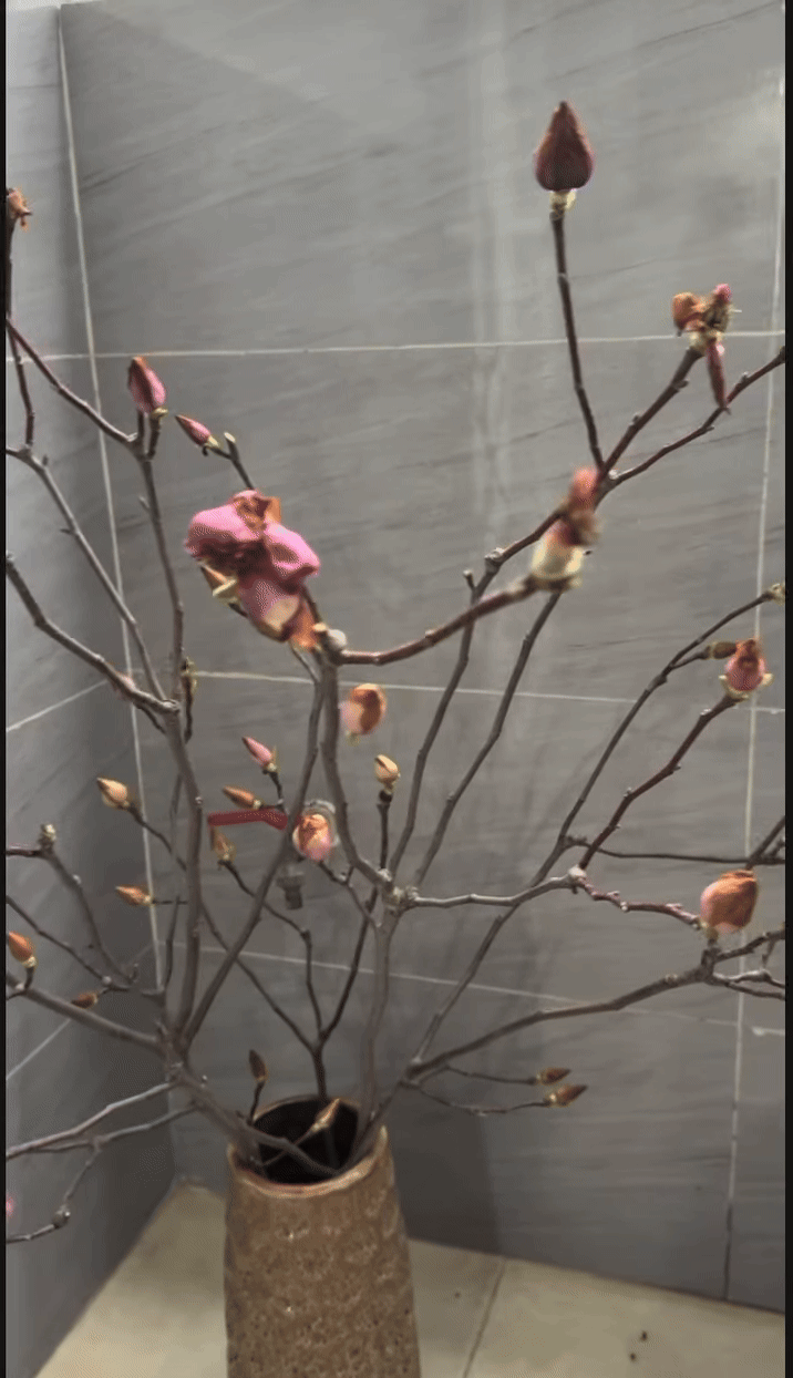 Cái kết Bỏ tiền triệu mà vẫn