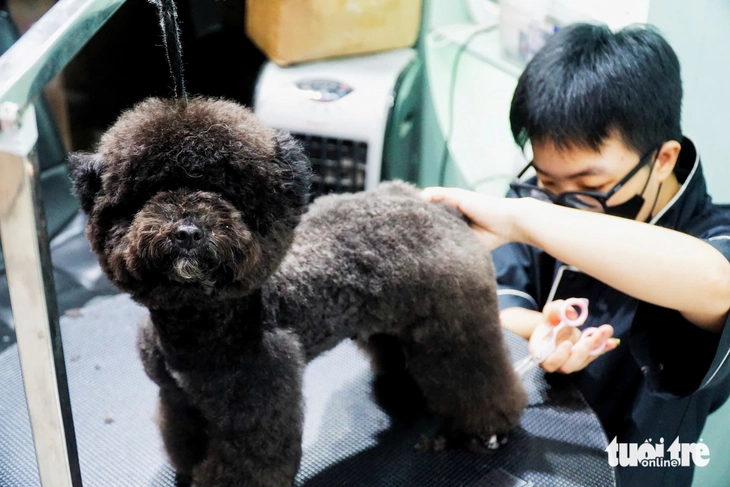 Nha Trang - Ảnh 1.