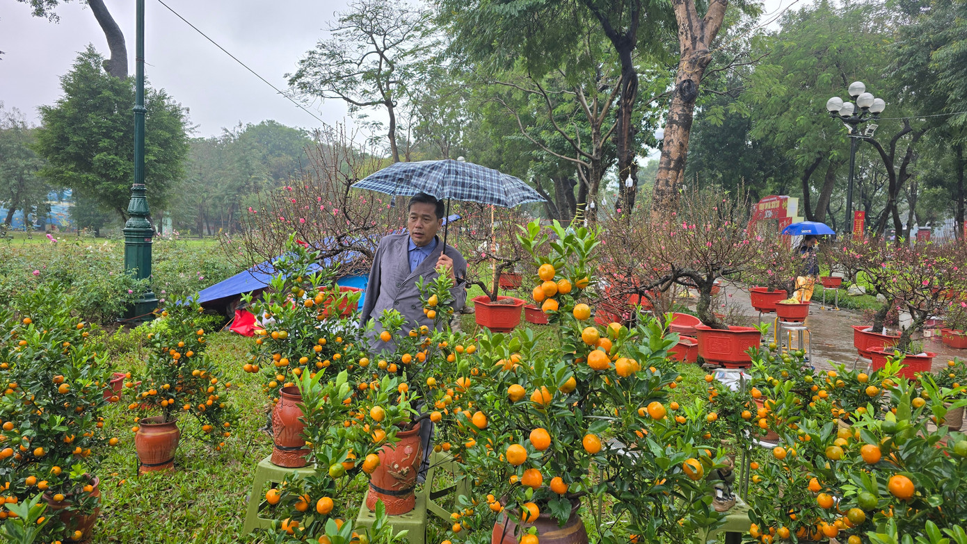 Cận Tết, phố bớt cây cảnh tràn đường, chợ hoa Hà Nội vẫn vắng khách- Ảnh 1.