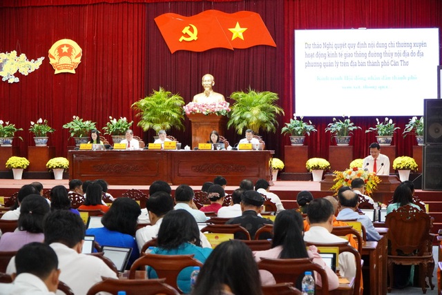 Cần Thơ: Lúa bị thiệt hại 30% trở lên được hỗ trợ 3-8 triệu đồng/ha - Ảnh 1.