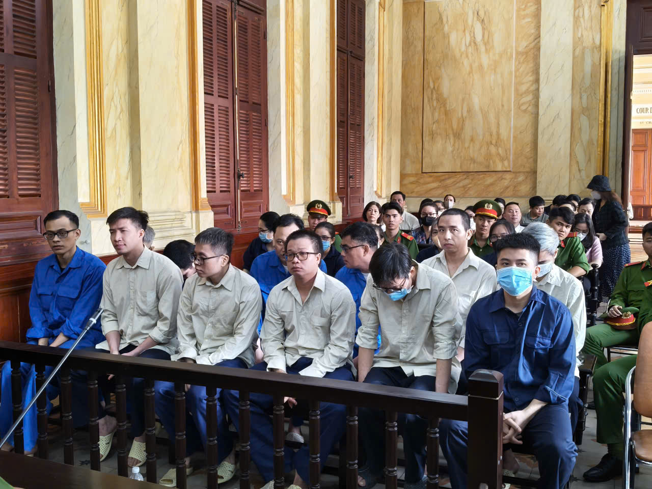 Bột đạm động vật nhiễm dịch tả lợn Châu Phi 