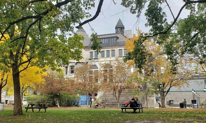 Khuôn viên Đại học McGill. Ảnh: McGill University Fanpage