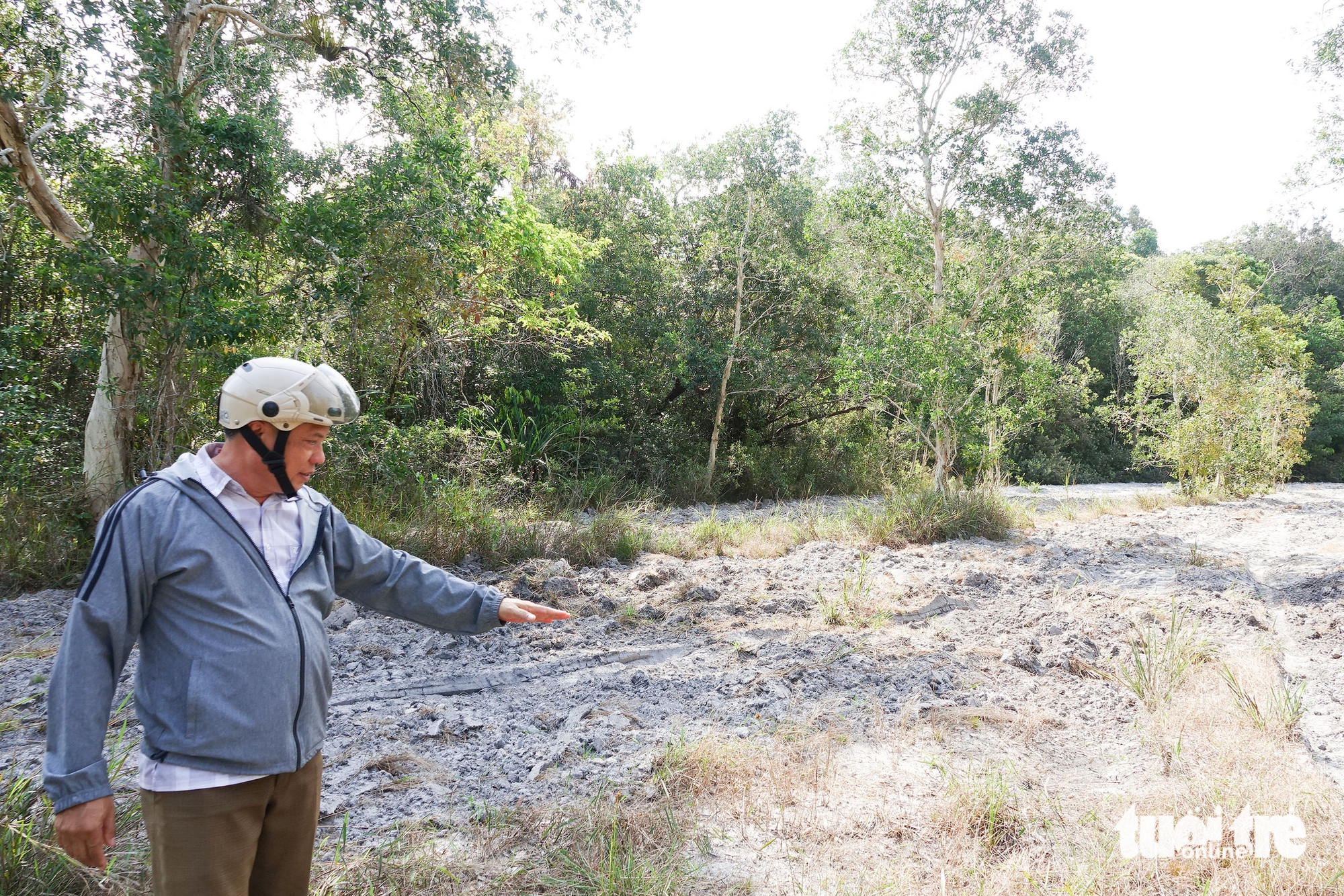 rừng Phú Quốc - Ảnh 1.