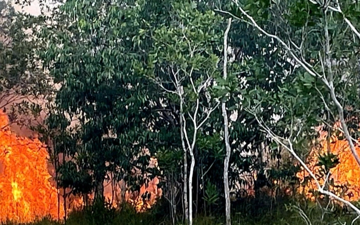 Canh giữ lửa rừng Phú Quốc xuyên Tết - Ảnh 6.