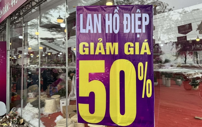 Điểm bán lan hồ điệp trên đường Lạc Long Quân hạ giá 50% toàn bộ cửa hàng trưa 15/2. Ảnh: Anh Tú