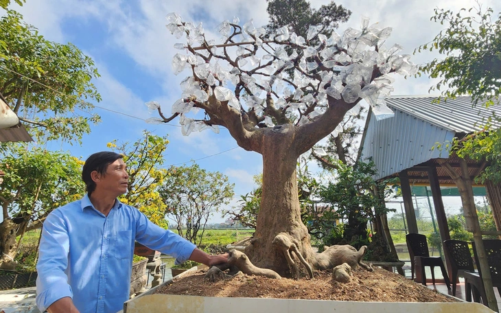 Chậu me 'phu ngọt - thê chua' chào bán trên 1 tỉ đồng tại chợ hoa Tết Long Xuyên - Ảnh 9.