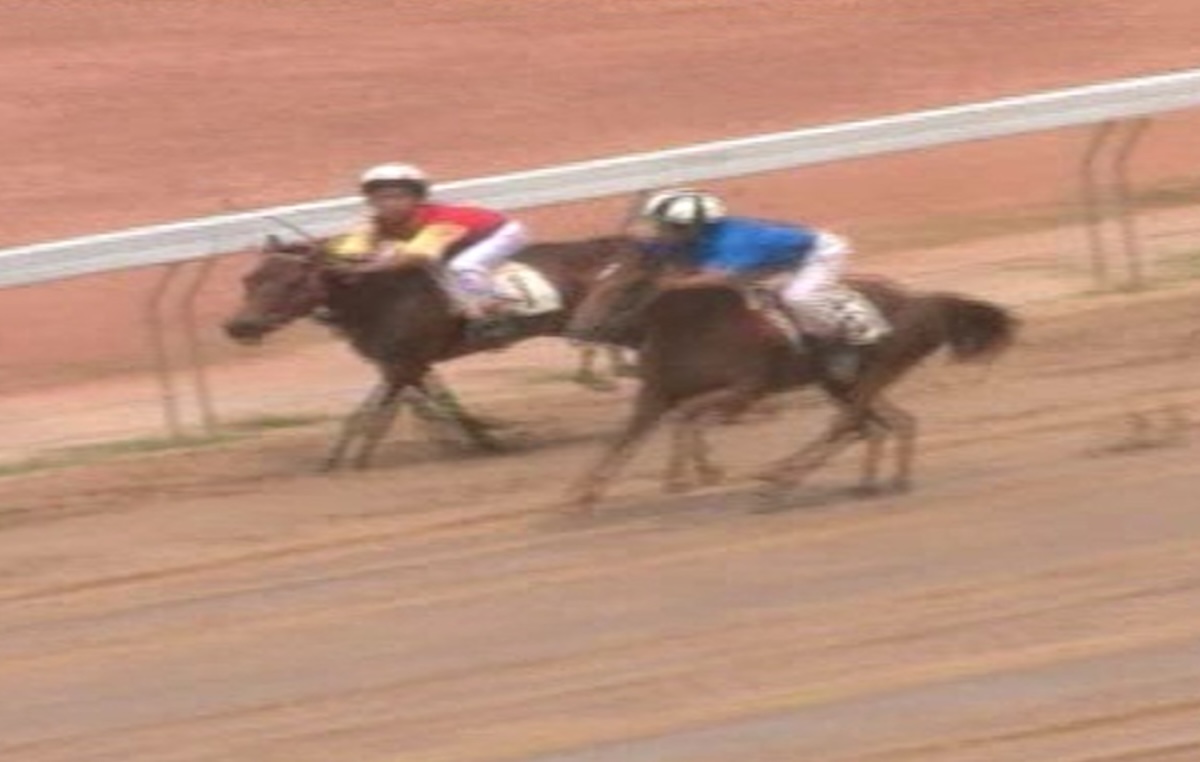 Một số lần nước rút về nhất của ngựa Lục Nhất Phụng