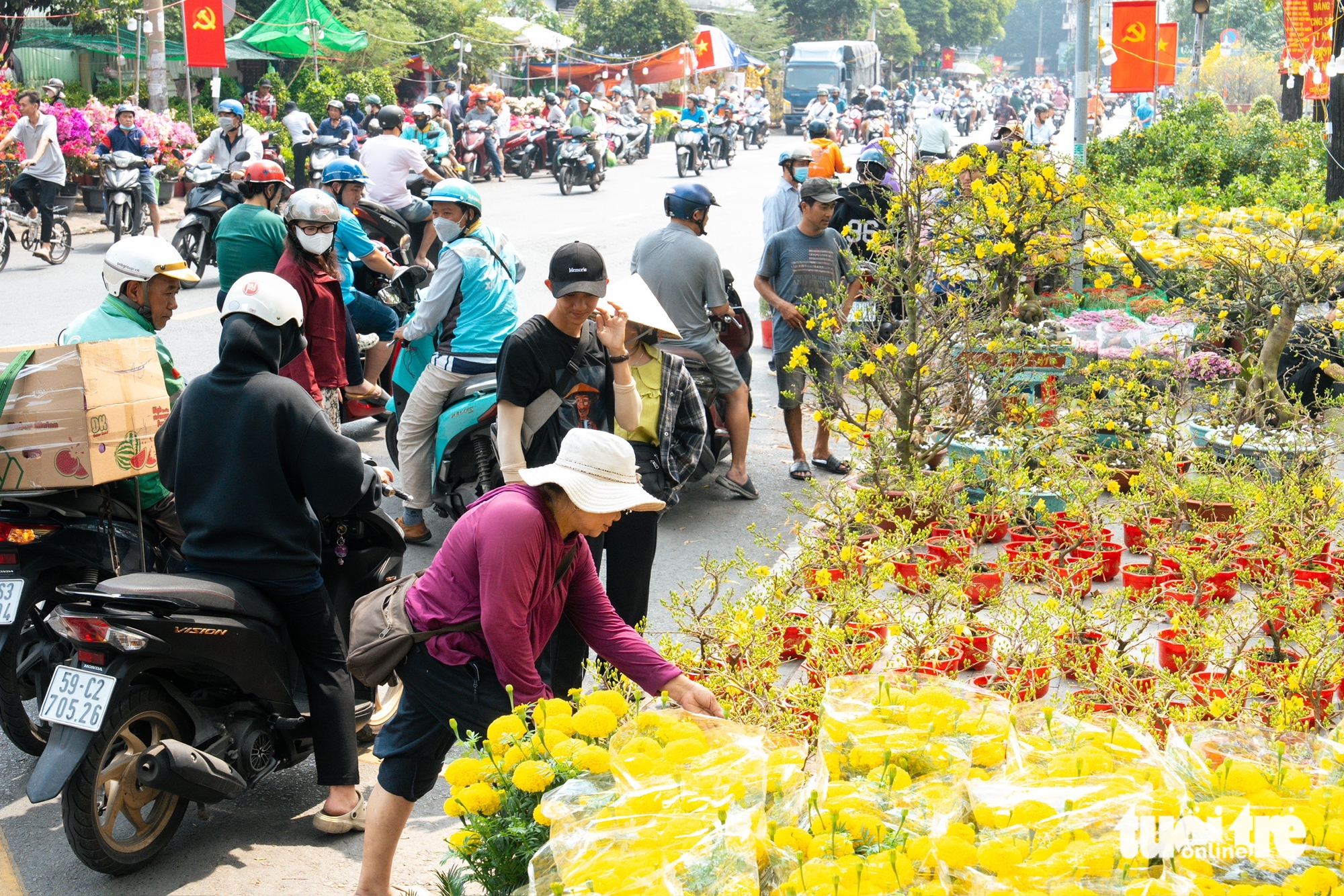 hoa Tết - Ảnh 1.