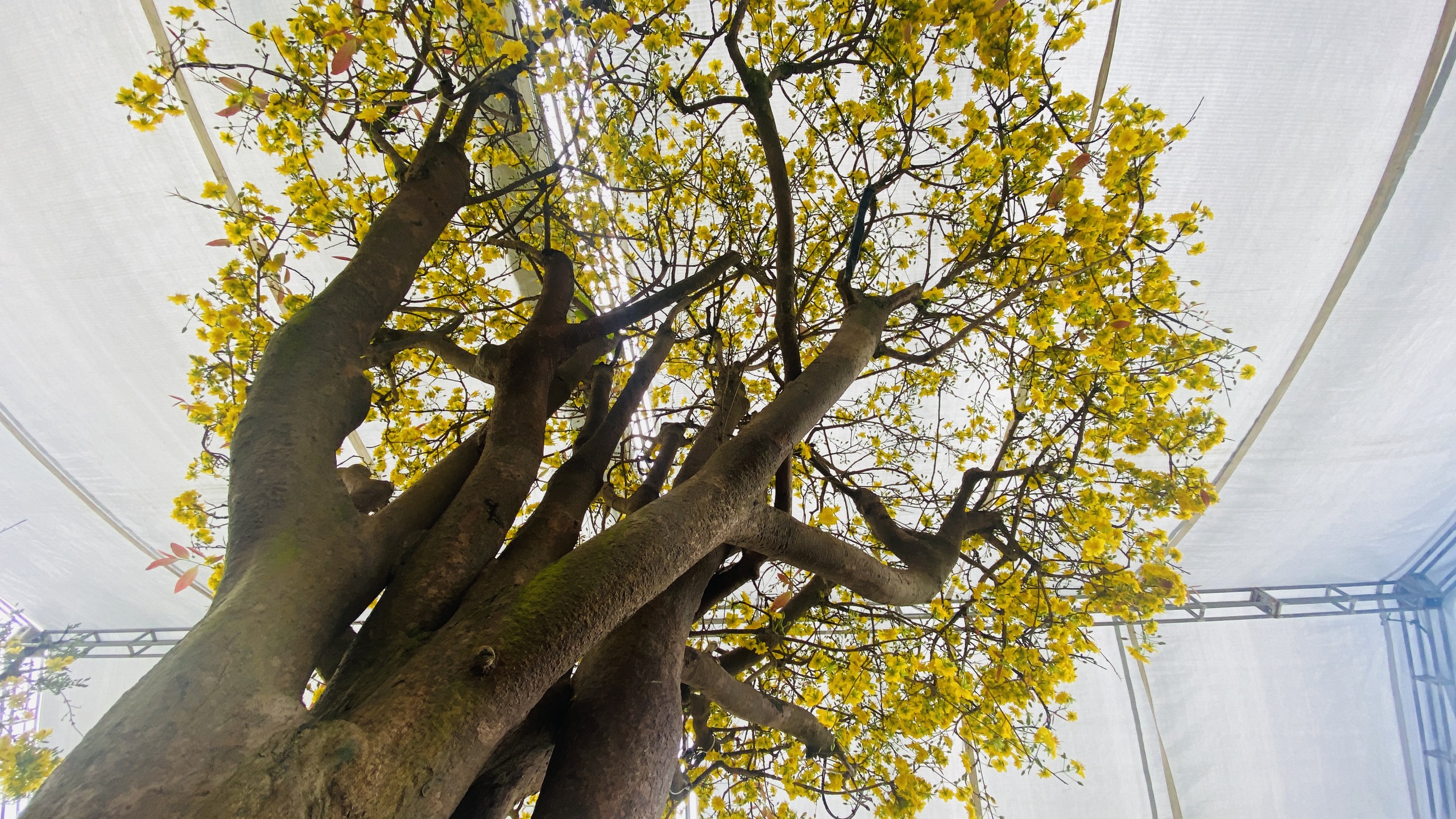 Đà Nẵng - Ảnh 3.