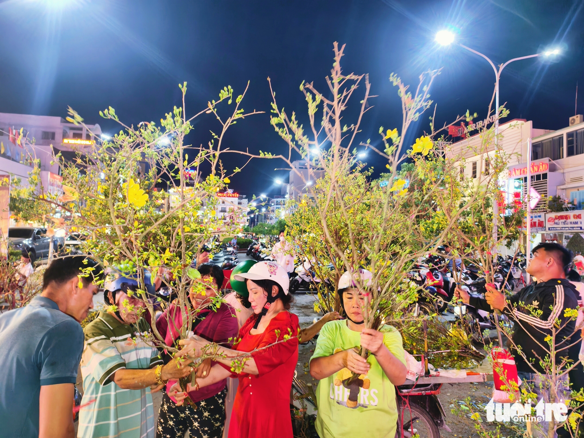 'Chợ' nhánh mai vàng ở Long Xuyên rộn ràng tối 28 Tết, giá rẻ hơn năm trước 1 mai vàng - Ảnh 1.