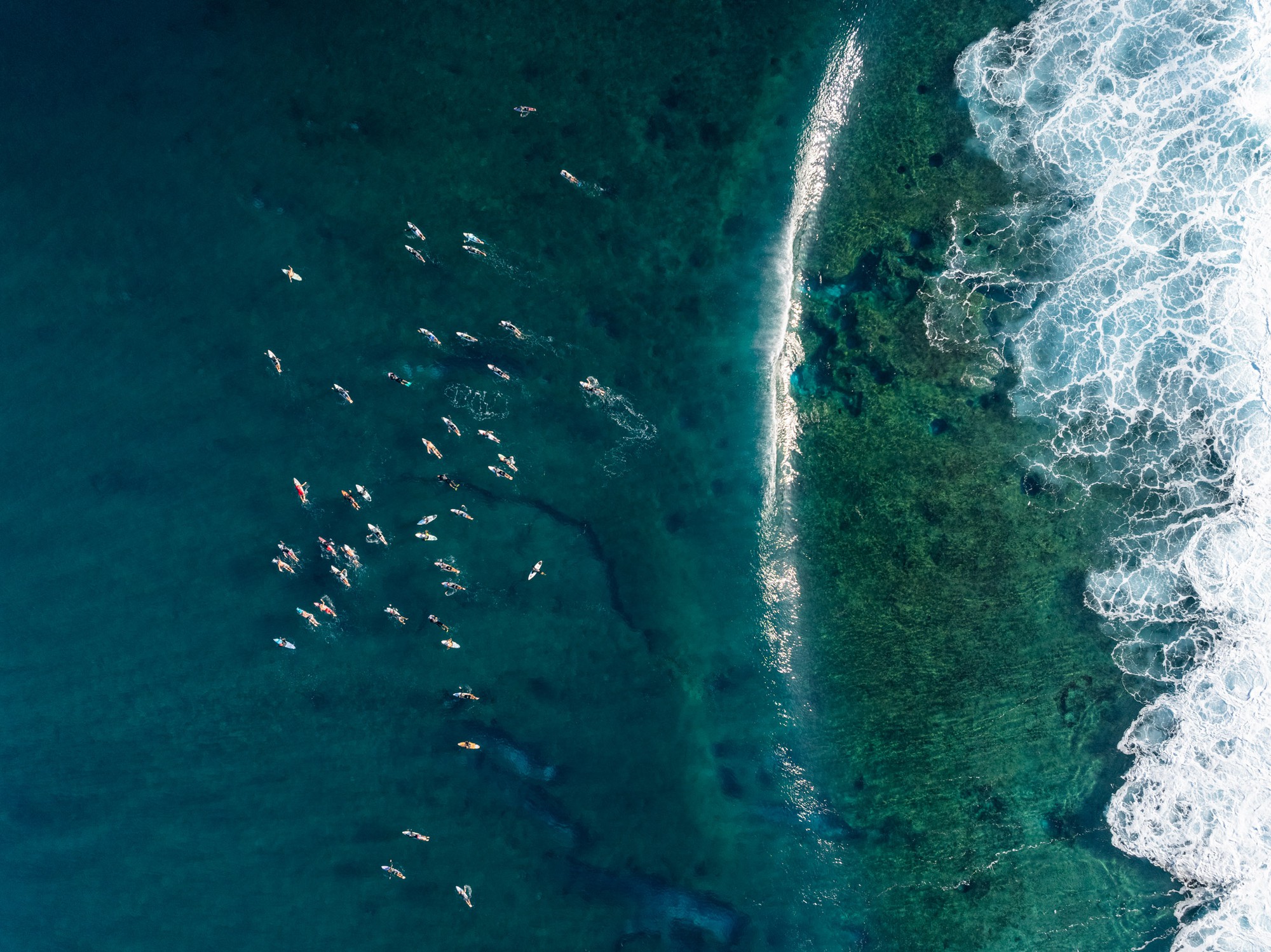 Chuyện gì đang xảy ra ở Hawaii?- Ảnh 1.