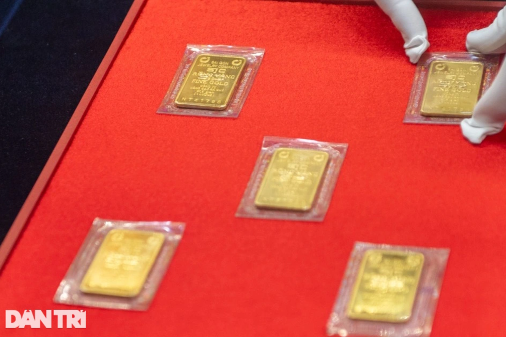 Chuyên gia WGC: Đầu tư vàng năm 2026 đừng chỉ nhìn vào biến động giá - 2