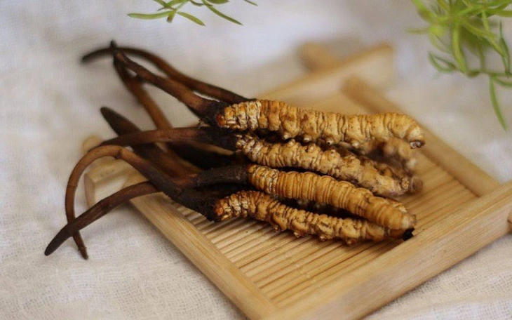 Chuyên gia dinh dưỡng nói về ‘thần dược’ làm quà Tết đang được nhiều người ưa chuộng - Ảnh 2.