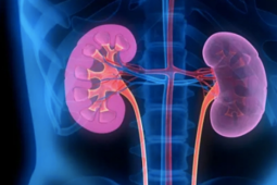 Món ăn nhiều người Việt ưa thích: Ngon miệng, tiêu hóa tốt nhưng khuyến cáo không phù hợp với người suy thận