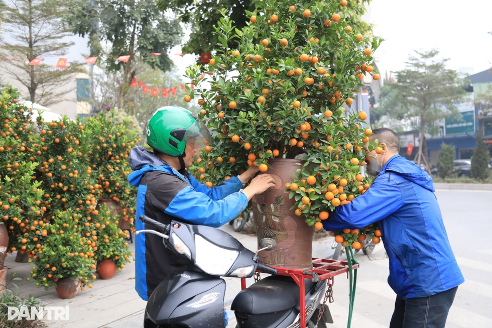 Có nên đợi sát Tết mới mua hoa? - 1