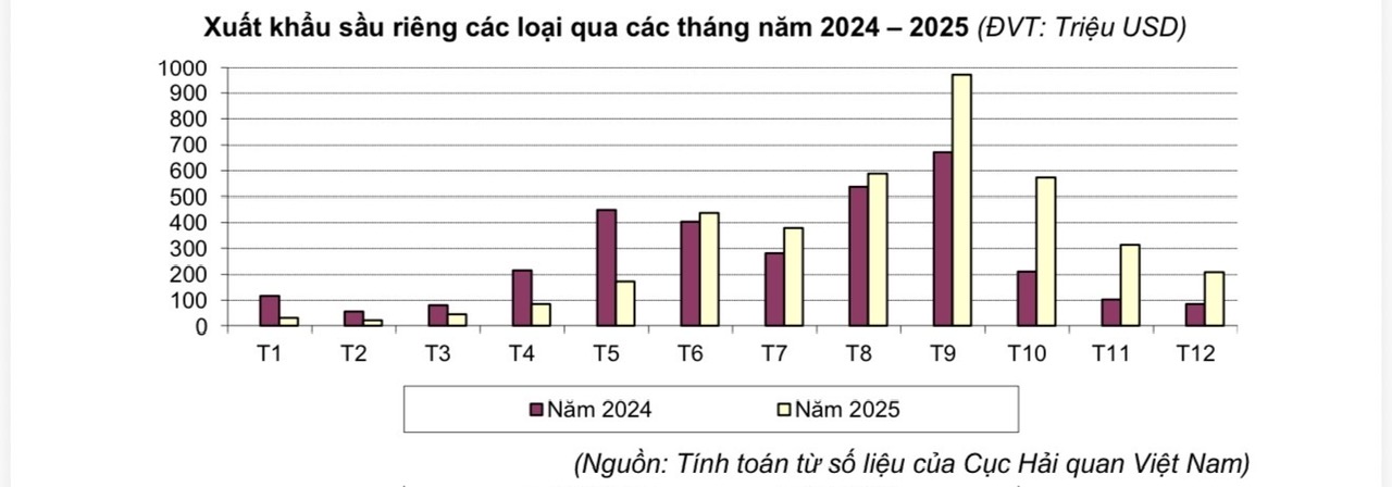 Cú lội ngược dòng của sầu riêng Việt - Ảnh 1.
