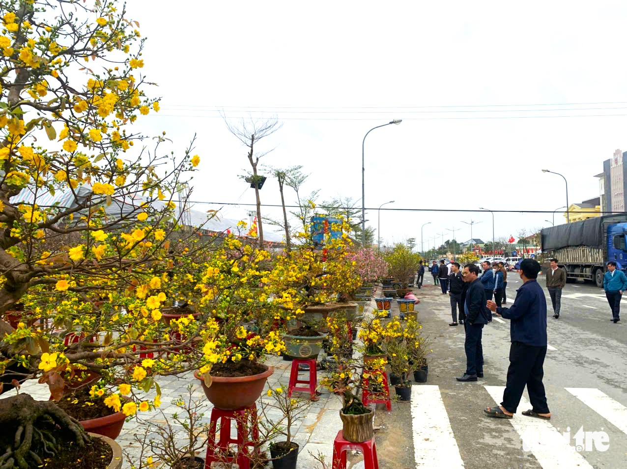 Cuối năm thu nhập khấm khá bằng nghề ‘chở Tết về nhà’ - Ảnh 1.