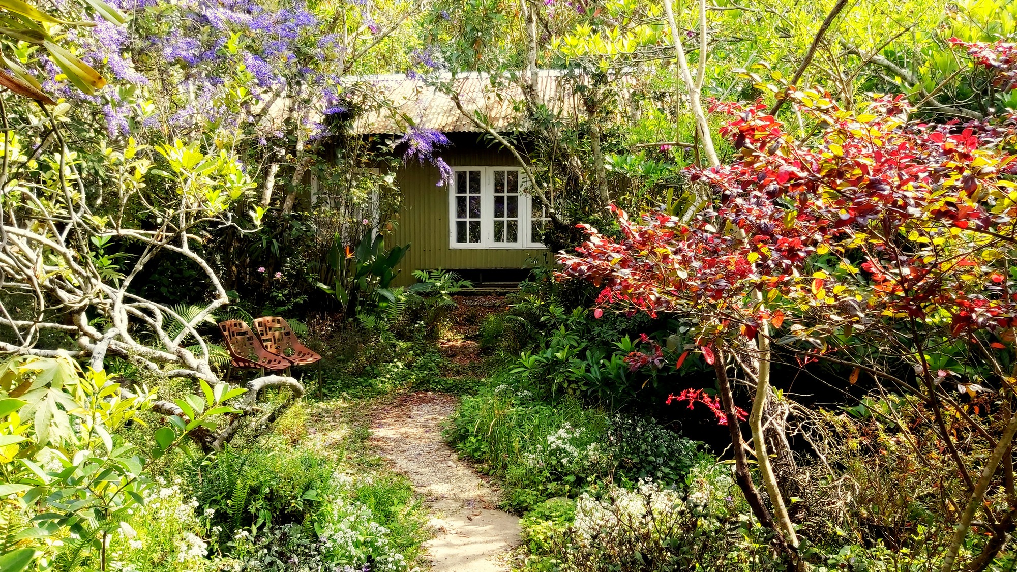 Đà Lạt tìm dấu vườn xưa - Ảnh 1.