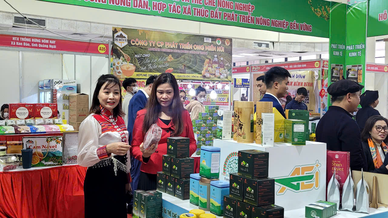 Đặc sản 3 miền Nổi bật Tại hội chợ Tết 2026 ở Hà Nội - Ảnh 1.