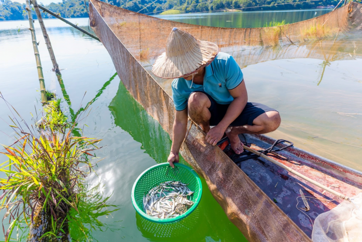 Tép dầu Đầm Vạc được công nhận trong Top 100 quà tặng đặc sản Việt Nam 2021-2022 do Tổ chức Kỷ lục Việt Nam (Vietkings) và Tổ chức Top Việt Nam (VietTop) bình chọn. Ảnh: Đồng Đức Hiệp