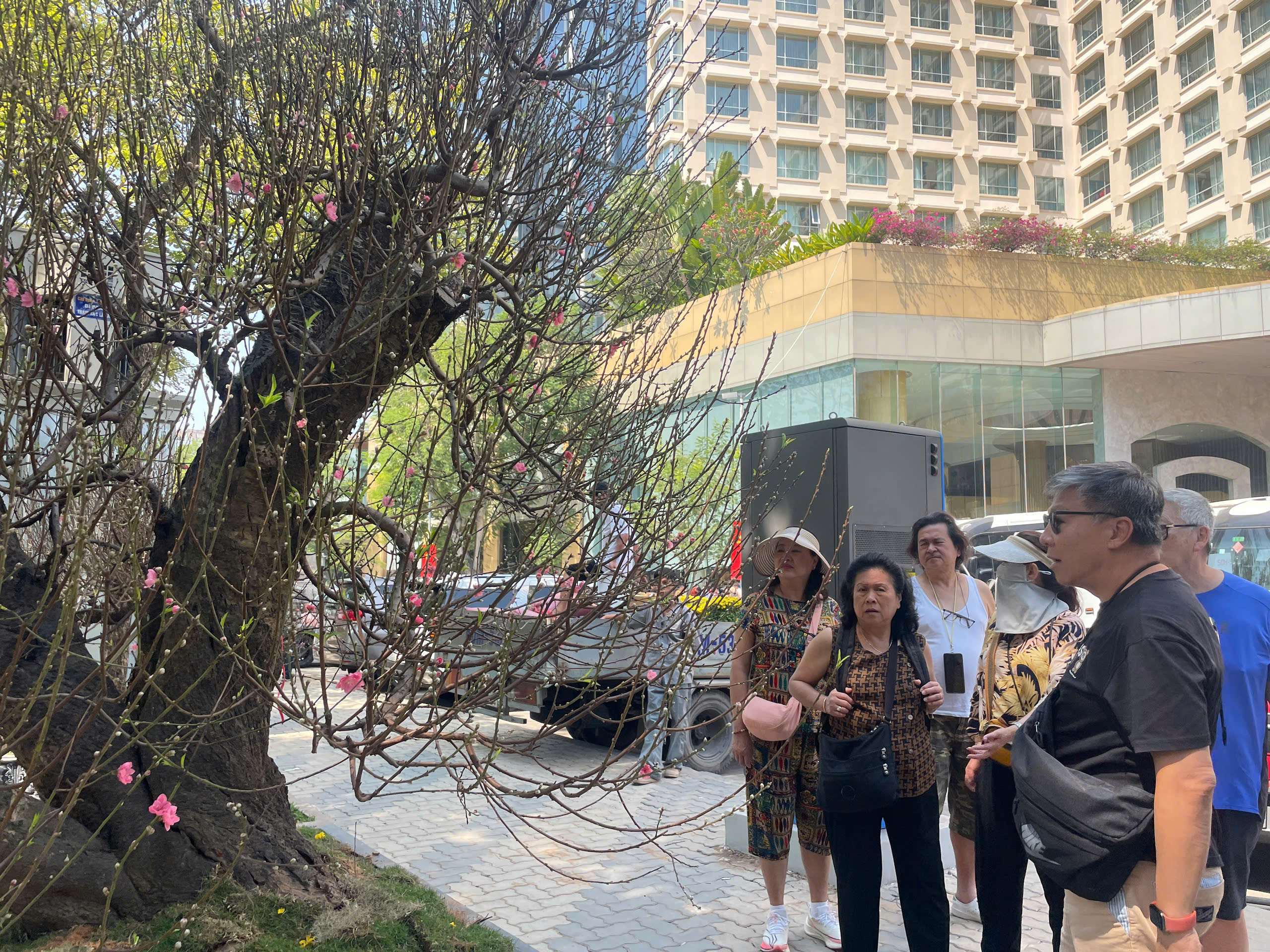 Đào cổ thụ tiền trăm triệu hút khách sớm ở chợ hoa TP HCM  - Ảnh 1.