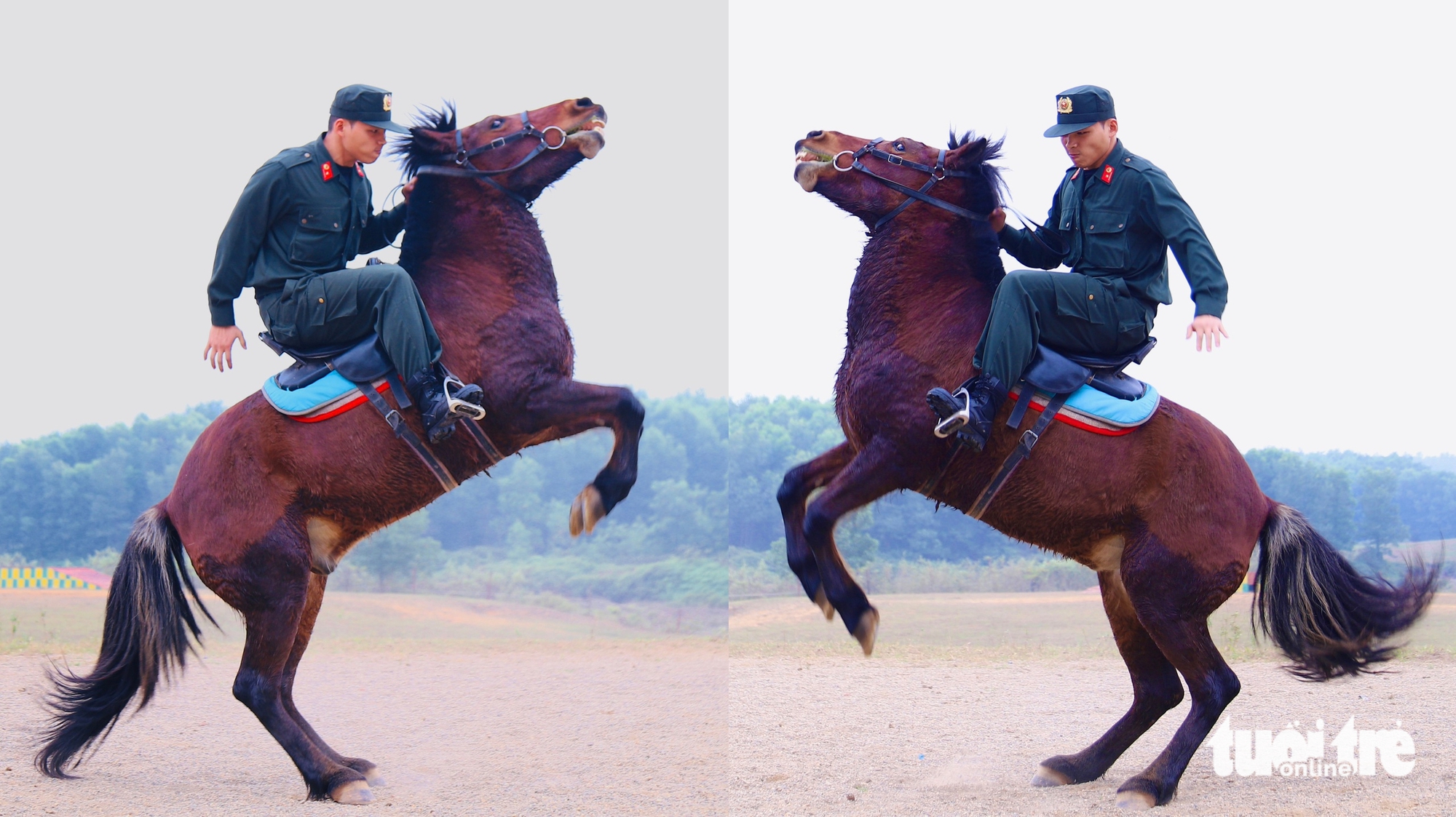 Đầu năm ngựa, 'xông đất' Đoàn Cảnh sát cơ động Kỵ binh 1 ngựa - Ảnh 1.