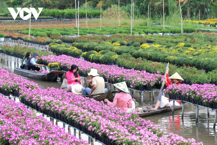 Đầu xuân về Sa Đéc cảm nhận tình đất, tình người 1 Làng hoa Sa Đéc (tỉnh Đồng Tháp) được mệnh danh là "vương quốc" hoa kiểng lớn nhất miền Tây