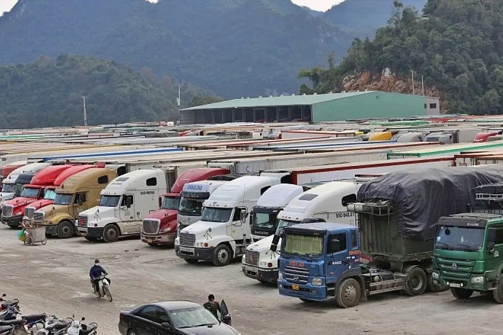 Đề xuất tạm ngưng hiệu lực Nghị định 46 đến hết ngày 15.4- Ảnh 1.