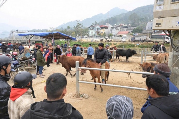 Đến Bắc Hà nghe chuyện vó ngựa trên cao nguyên trắng 1 Sớm thứ Bảy, phiên chợ gia súc ven suối Nậm Cáy (Bắc Hà) bừng tỉnh trong làn sương mù, mở đầu cho chuỗi ngày hội vó ngựa đầy náo nhiệt trên cao nguyên trắng.