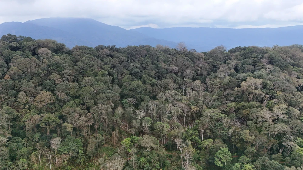 Một góc núi Ngọc Linh nhìn từ trên cao. 1000016636.jpg