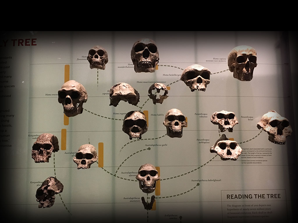 Dòng dõi ma là gì? Liệu nó có trong ADN của bạn và tôi không?- Ảnh 1.