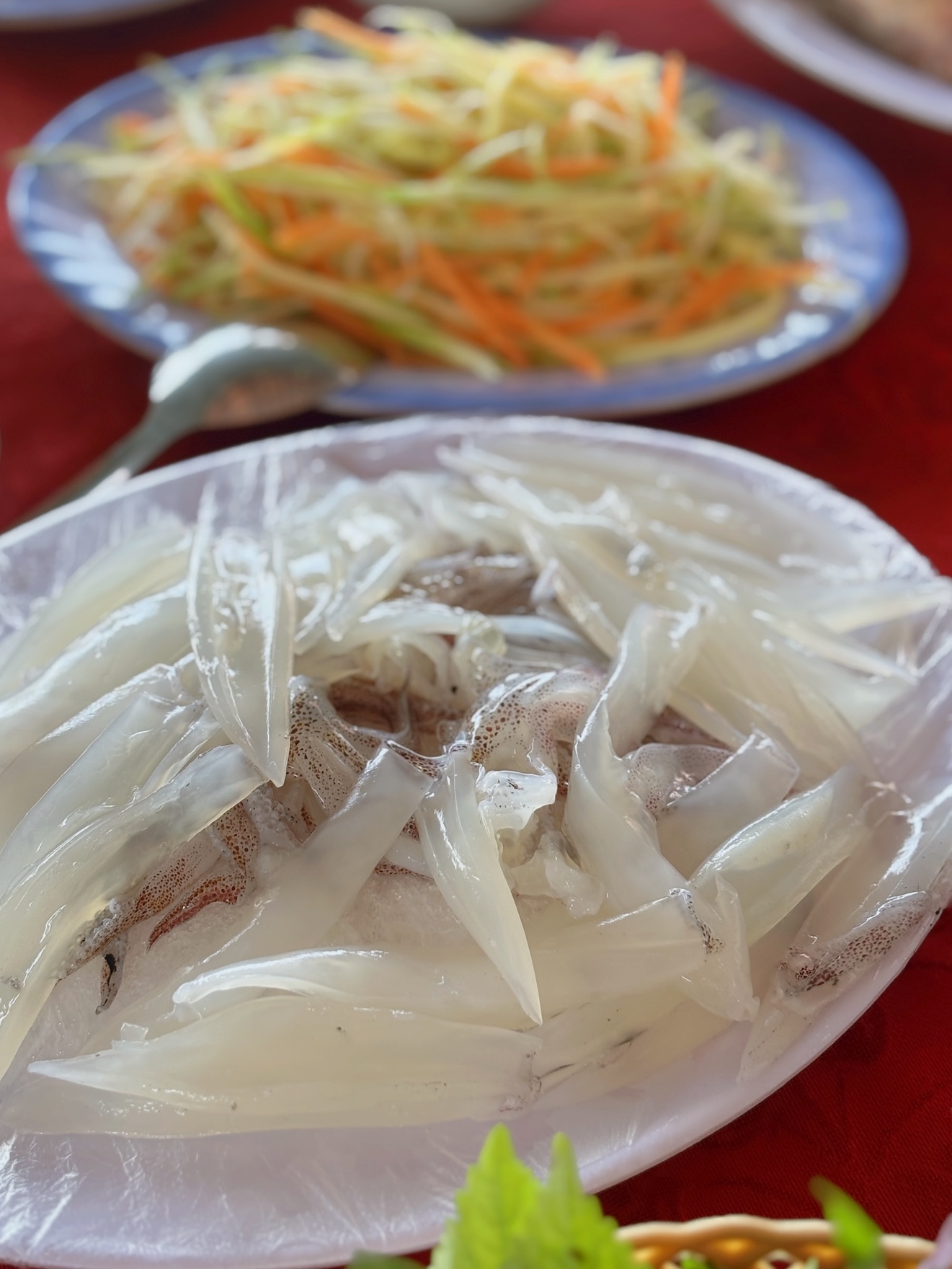 Du Xuân dọc miền biển: Ghé Vũng Áng ăn mực nhảy - đệ nhất gỏi của giới sành ăn- Ảnh 1.