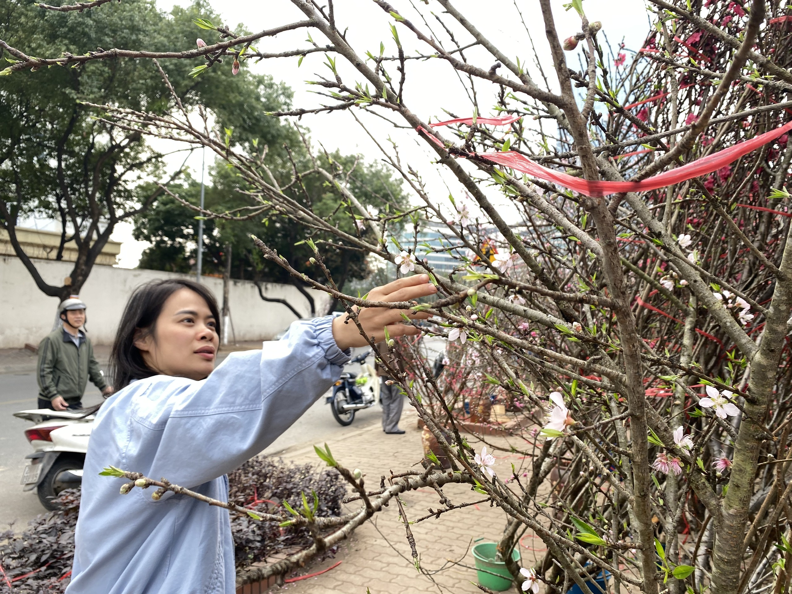 Dự báo thời tiết Tết Nguyên đán Bính Ngọ 2026 trên toàn quốc - Ảnh 1.