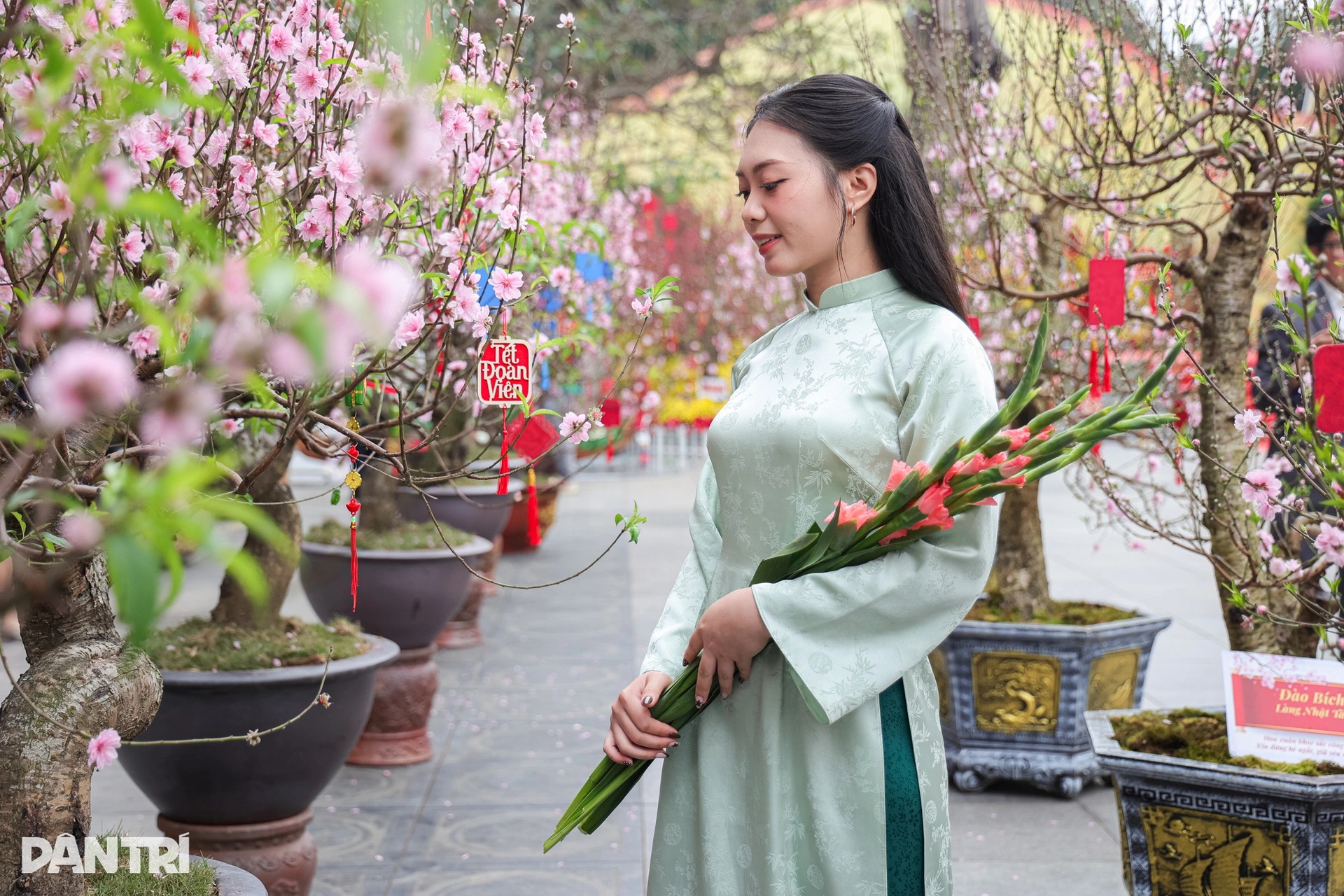 Du khách choáng ngợp không gian xuân Hà Nội - 2