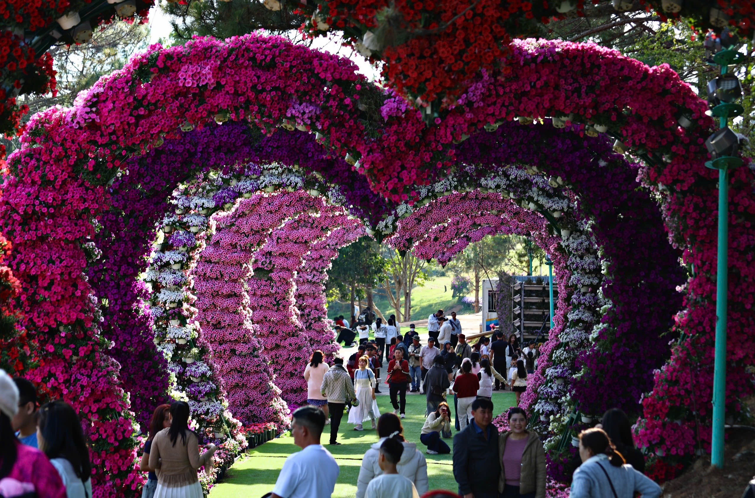 Du lịch Việt bùng nổ dịp Tết 1 Tết - Ảnh 1.