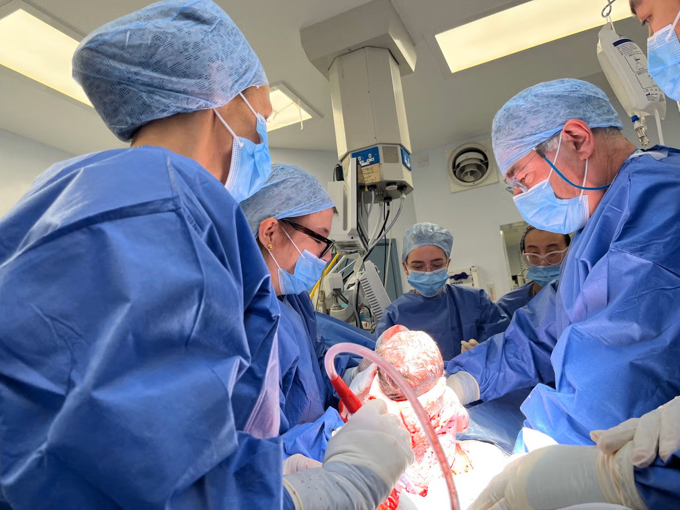 tử cung - Ảnh 1.