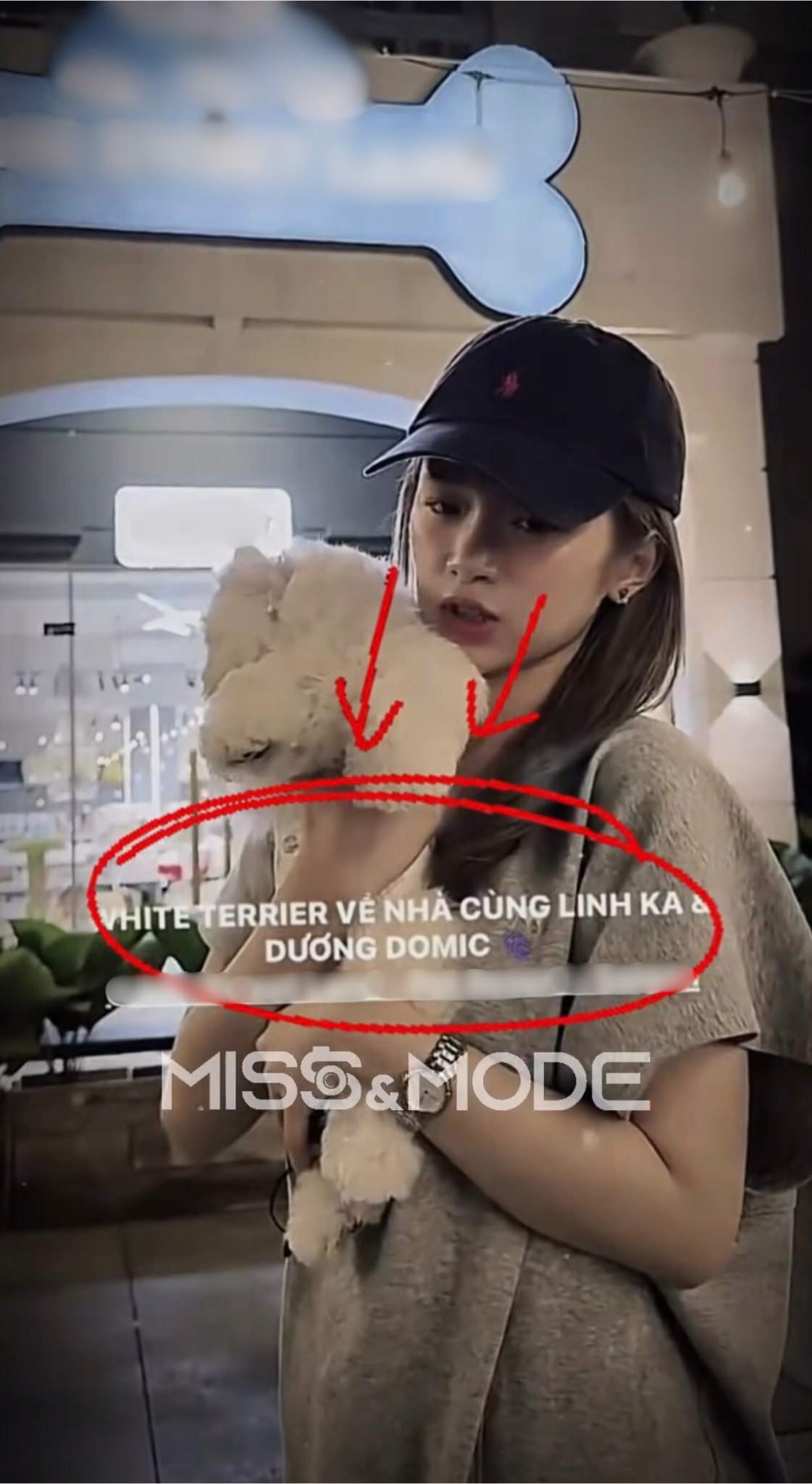 Dương Domic và Linh Ka đã dọn về sống chung nhà?- Ảnh 1.