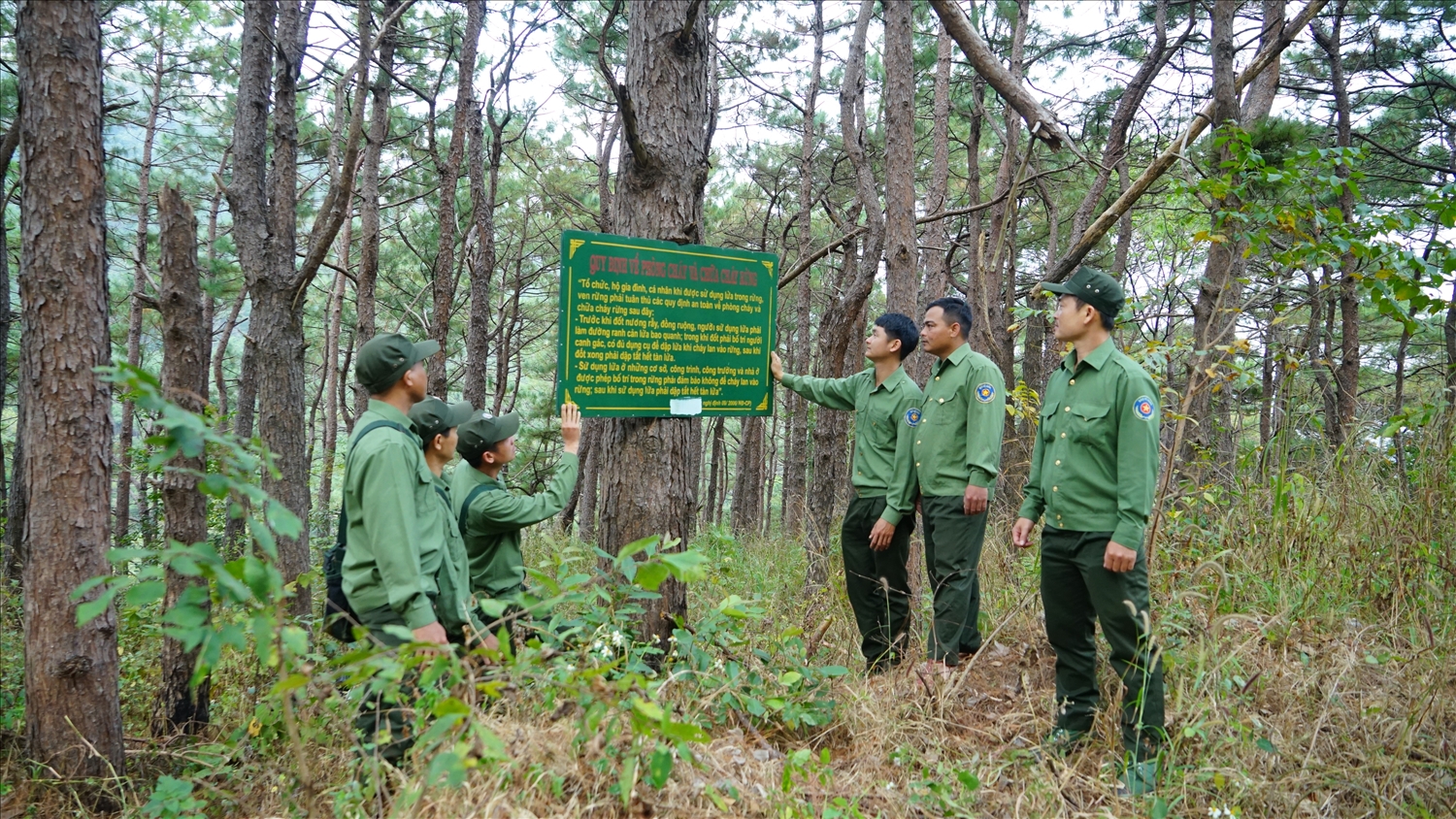 Gác niềm riêng, giữ rừng xuyên Tết - Ảnh 1.