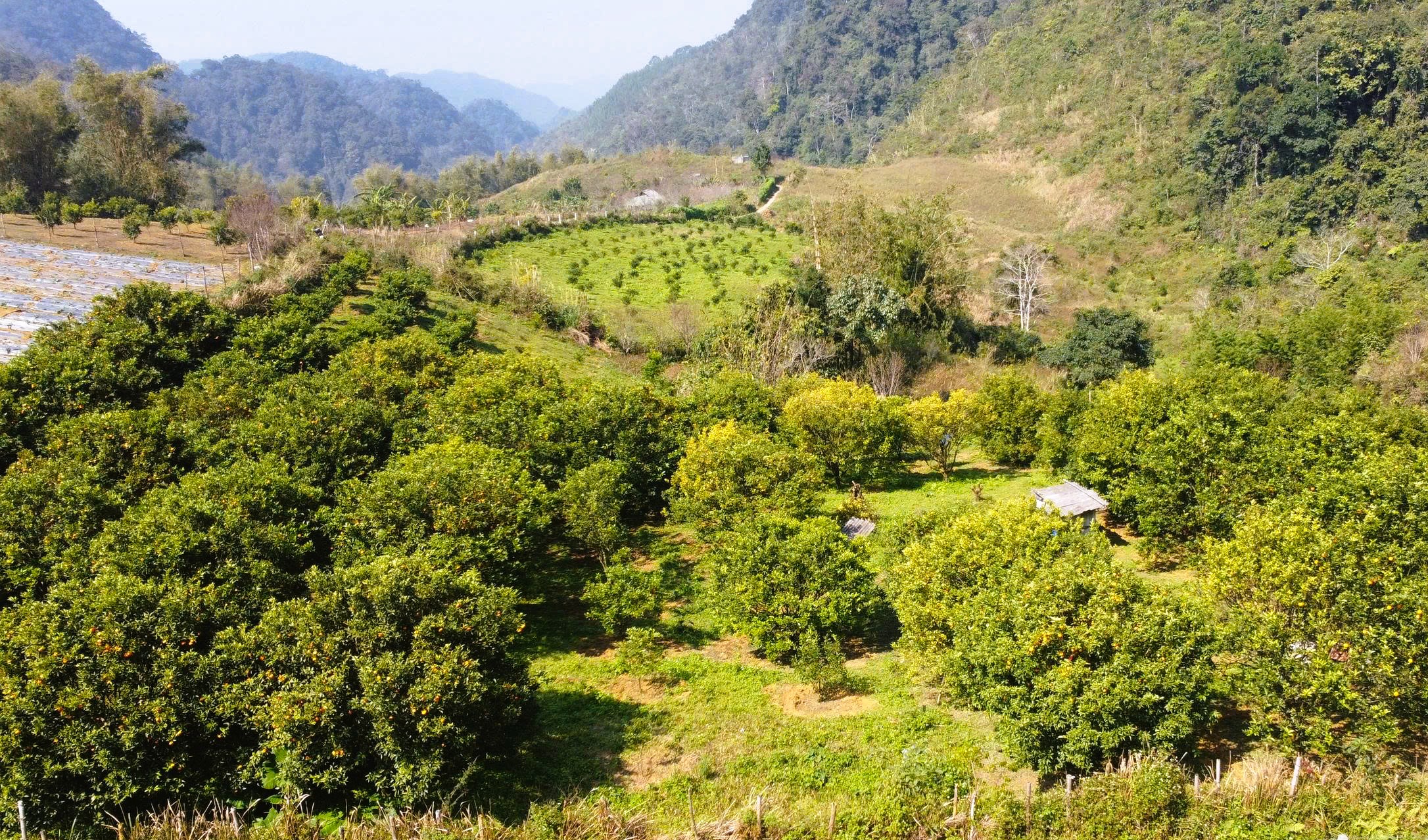Giá thuê đất công ích quá cao, Thanh Hóa xin ý kiến Trung ương 1 Giá thuê đất công ích quá cao, Thanh Hóa xin ý kiến Trung ương - Ảnh 1.