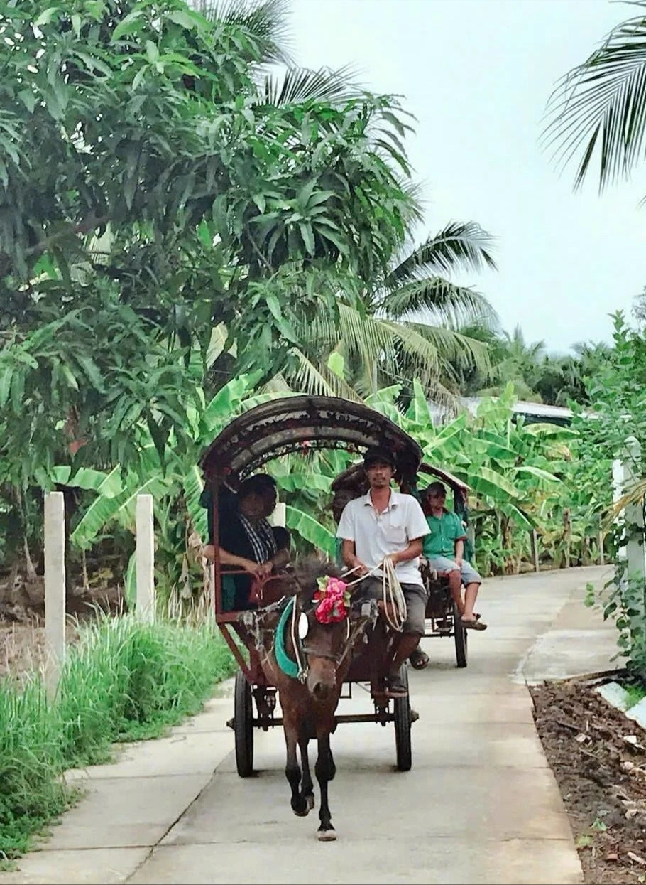 cồn Thới Sơn 1.jpg