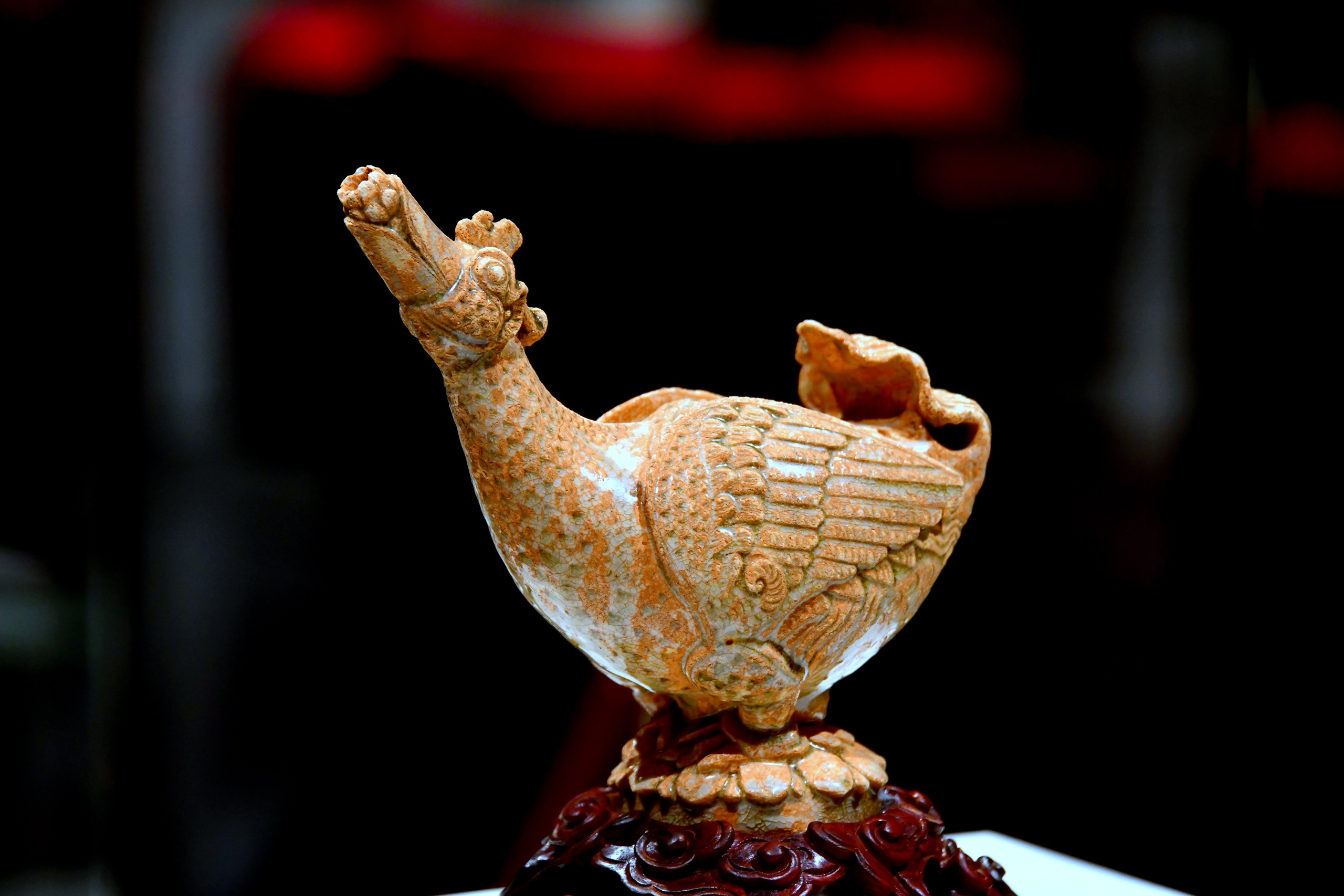 Hành trình mùa xuân theo cánh ngỗng Hamsa- Ảnh 1.